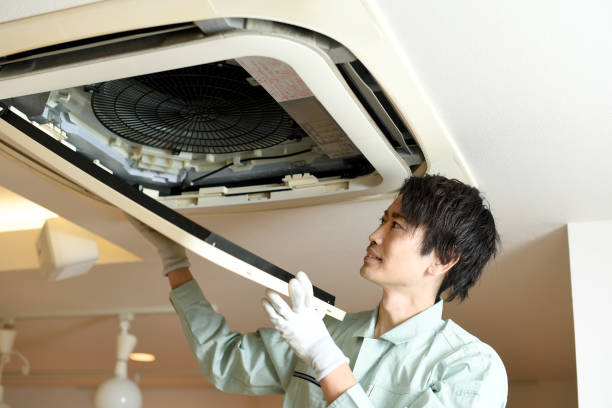 Best Affordable Duct Cleaning Services  in Arlington, TN